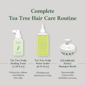 SteamBase Tea Tree Scalp Healing Tonic gift-ready packaging for gifting.