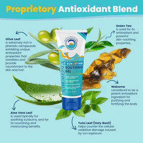 STREAM 2 SEA antioxidant blend of green tea tulsi wakame olive leaf