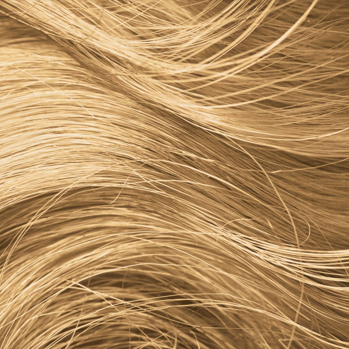 Style Edit Root Touch Up Powder transfer-resistant temporary color for day-to-day wear.