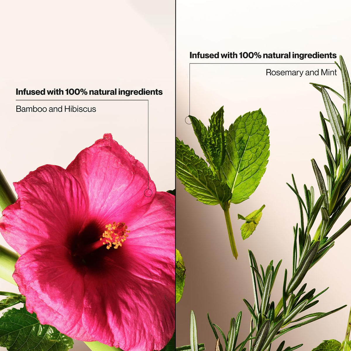 Suave Dry Shampoo ingredient scene highlights natural refresh