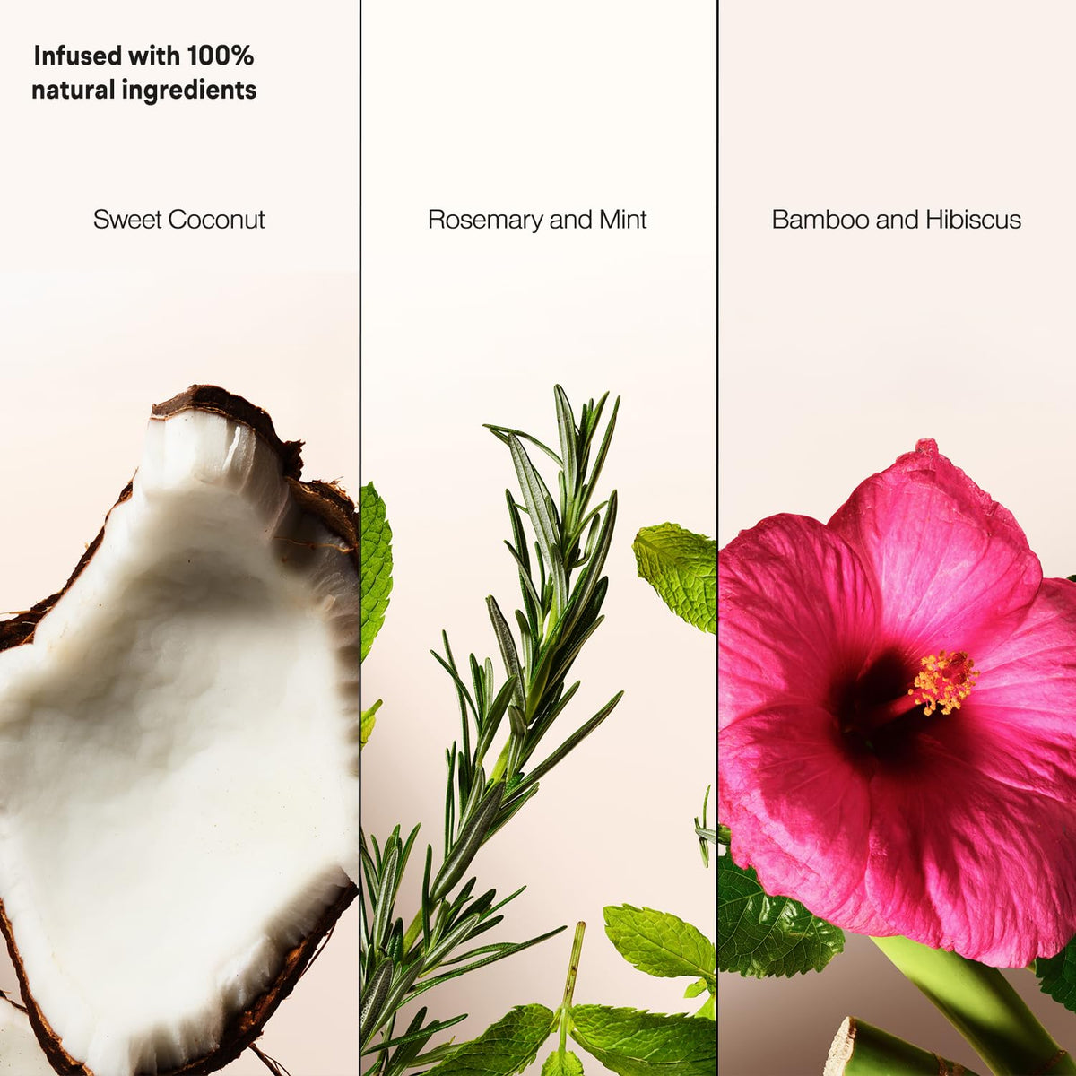 Suave dry shampoo trio pack box shows all three formulas