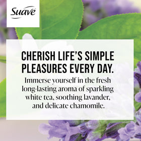 Suave White Tea & Lavender foam close-up with rich lather