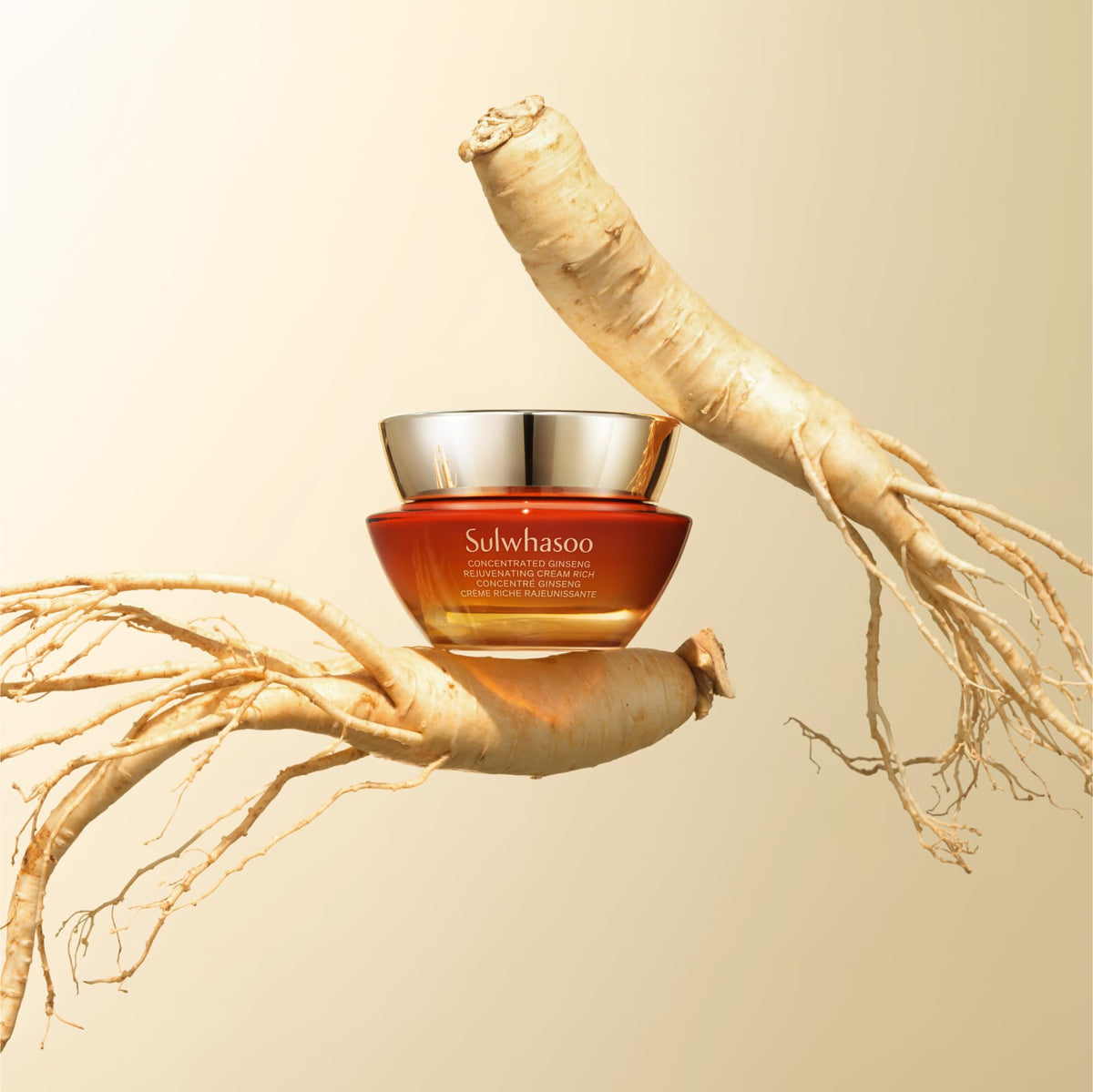 Sulwhasoo Concentrated Ginseng Rejuvenating Cream Rich packaging on shelf conveys luxury skincare.