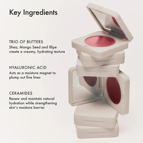Summer Fridays brush application on the cheek demonstrates seamless blend.