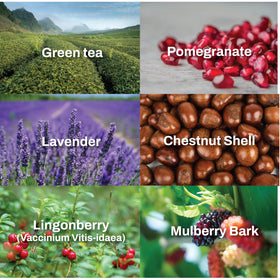 SUMSAE made-in-Korea formulation scene with premium ingredients and R&D