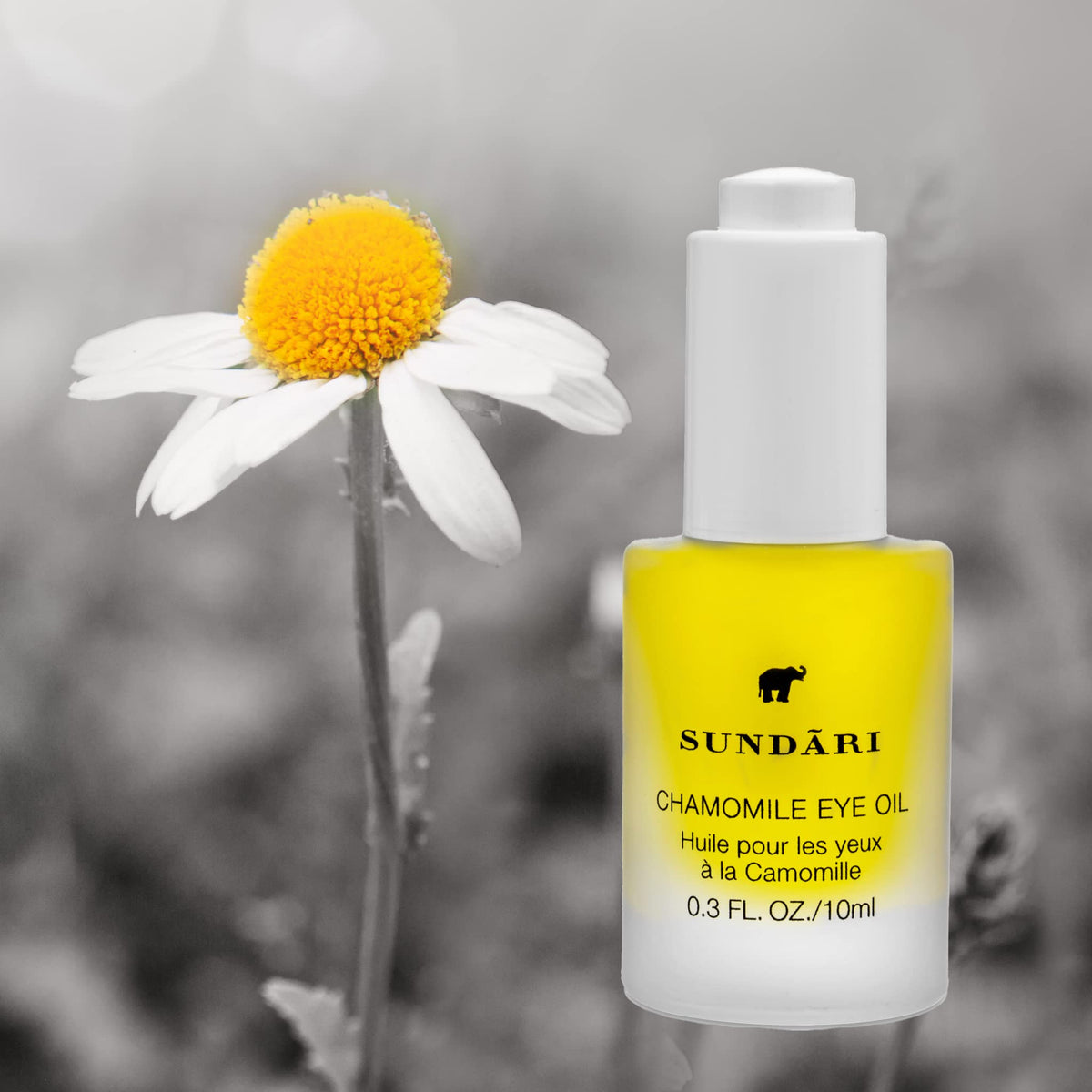 Small-dose bottle helps reduce product waste