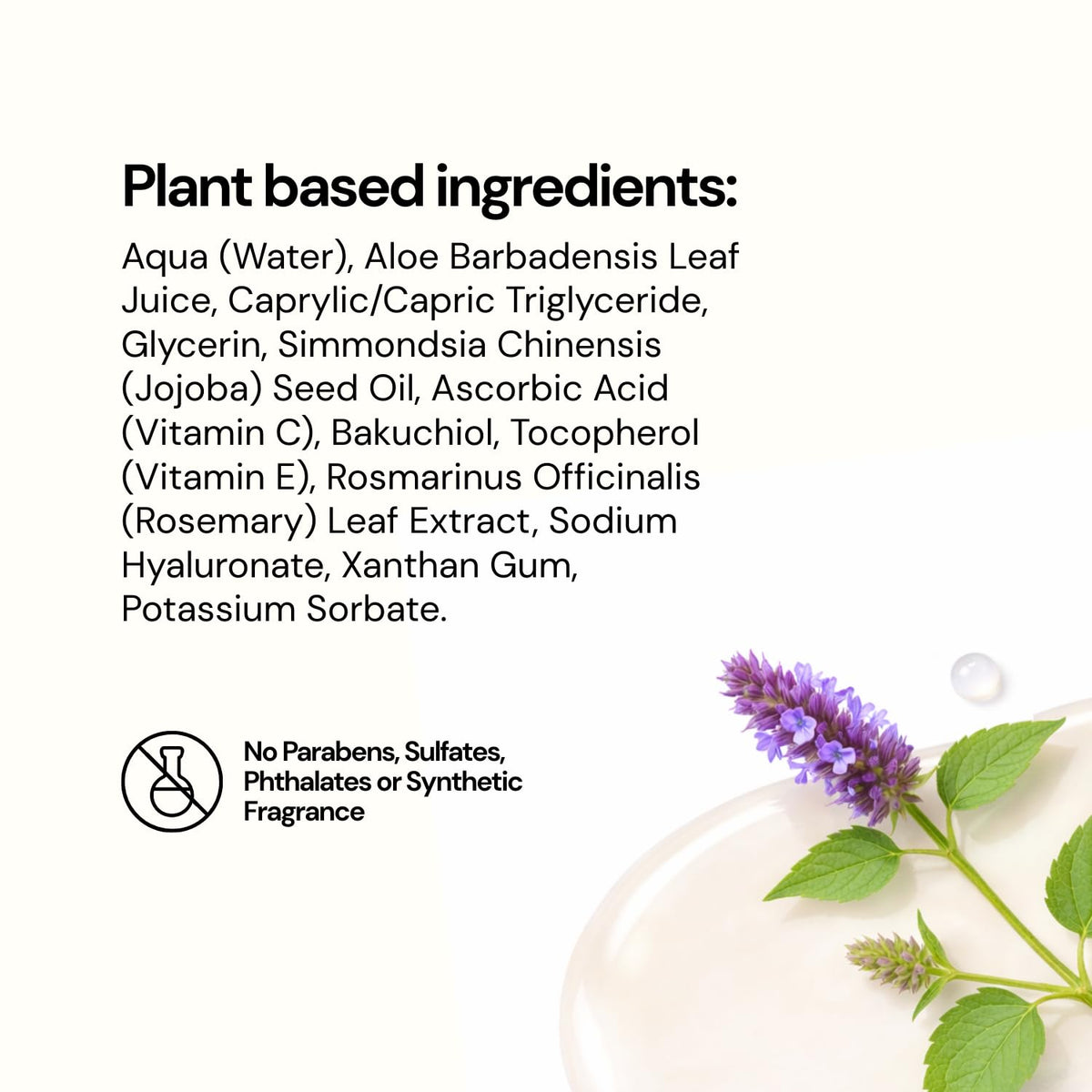 SUNLUV Bakuchiol serum vegan formula with aloe and jojoba supports gentle care.