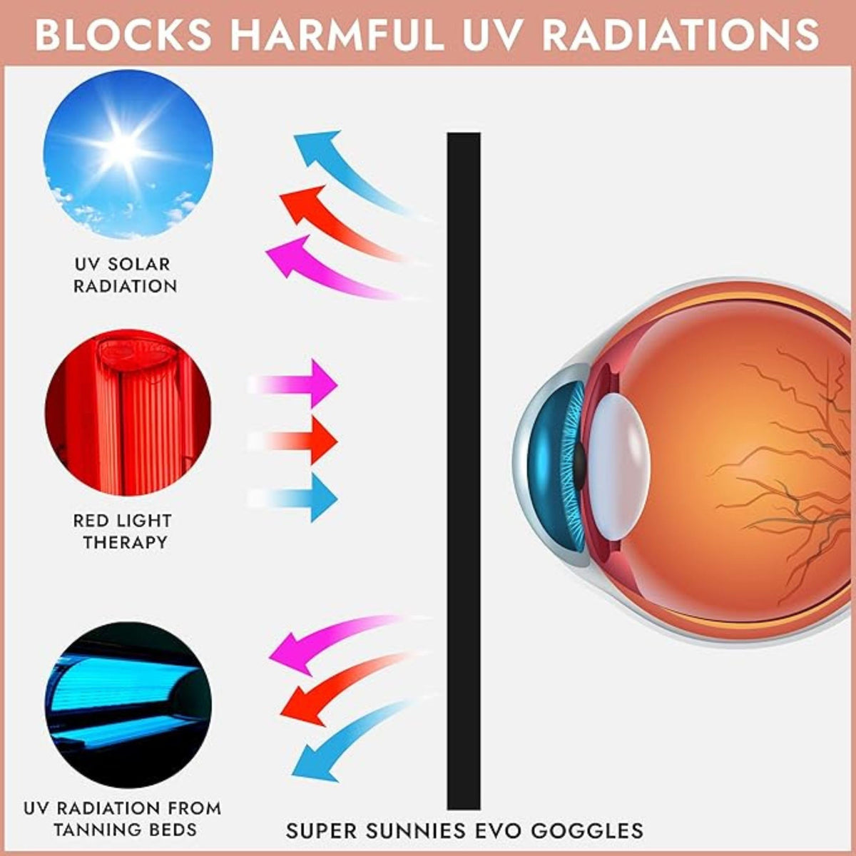 Flexible eyeshields adapt to different face shapes for secure protection.