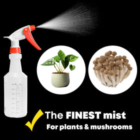 SupplyMaid multi-use bottles ideal for cleaning, oils, plants and BBQ.
