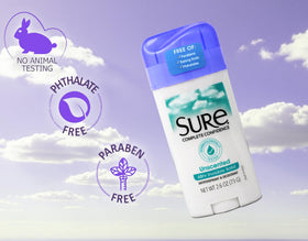Sure invisible solid unscented pack collection image shows convenient ten-pack.