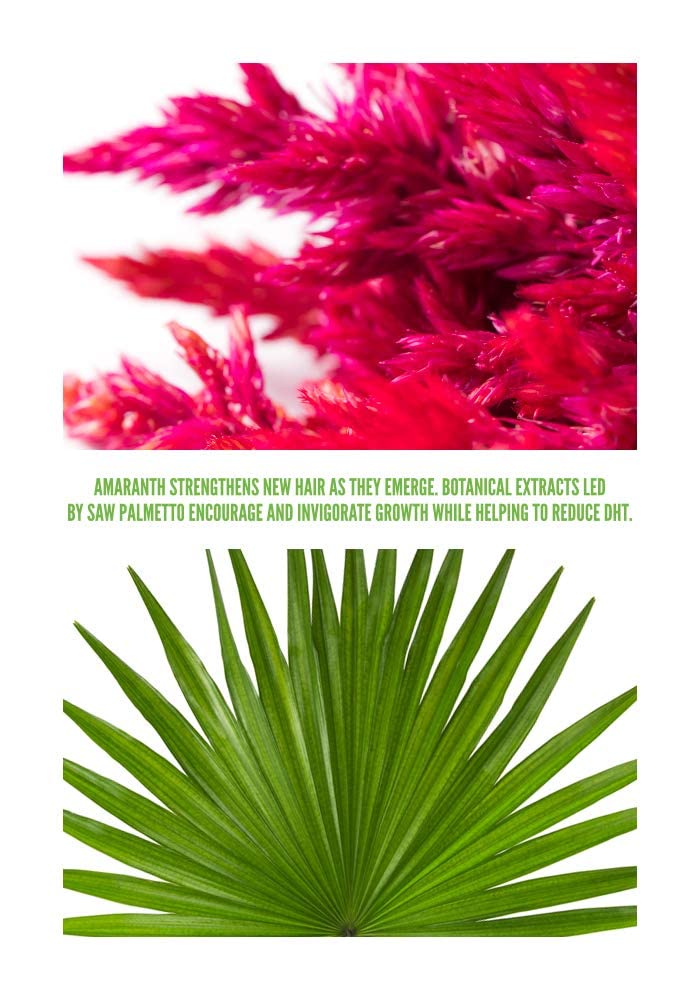 Surface Awaken botanicals closeup emphasizing saw palmetto and minerals in action