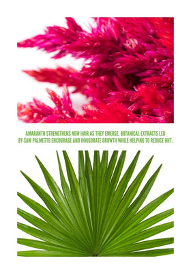 Surface Awaken botanicals closeup emphasizing saw palmetto and minerals in action