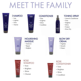 Surface Pure Blonde Rose Shampoo packaging highlights sulfate- and paraben-free formula.