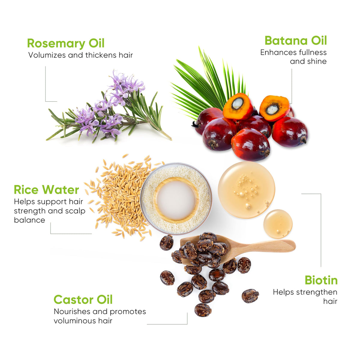 Batana oil in the blend signaling soft, more voluminous hair with Svvimer
