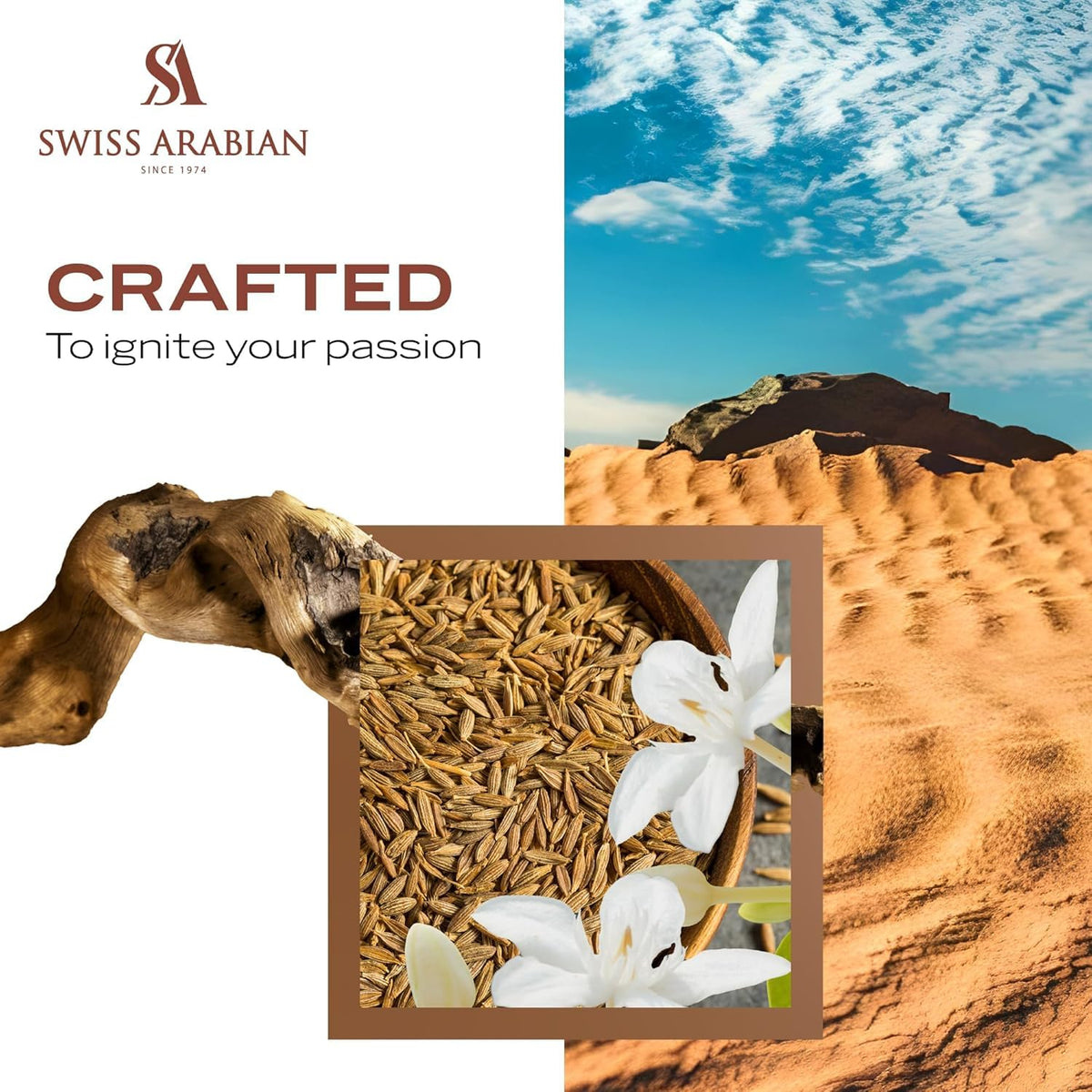 Swiss Arabian Shaghaf Oud Aswad packaging box, elegant gift-ready presentation.