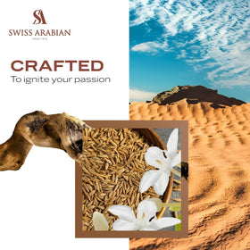 Swiss Arabian Shaghaf Oud Aswad packaging box, elegant gift-ready presentation.