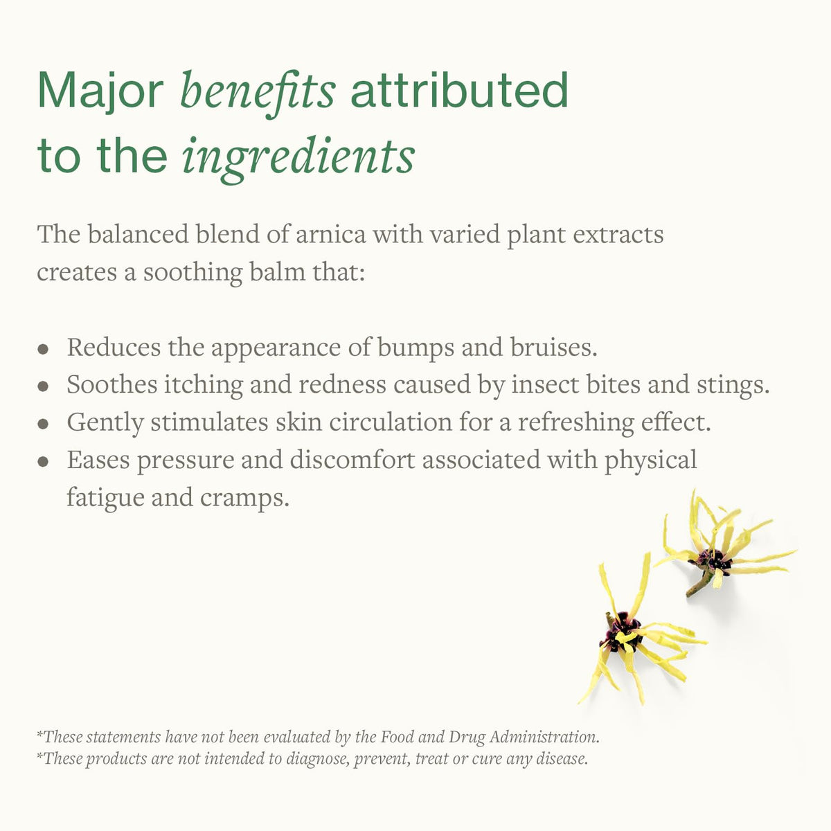 Close-up of SwissJust Arnica Balm texture absorbing smoothly into skin.