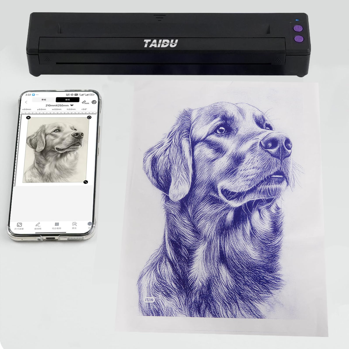 TAIDU P19 bluetooth setup shows wireless flexibility with iOS and Android
