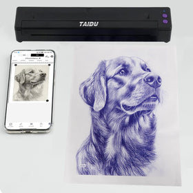 TAIDU P19 bluetooth setup shows wireless flexibility with iOS and Android