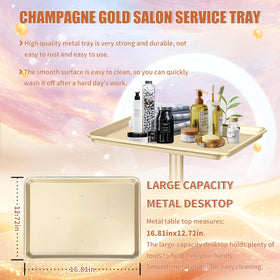 Takeashine height-adjustable salon tray knob height adjustment for optimal seating