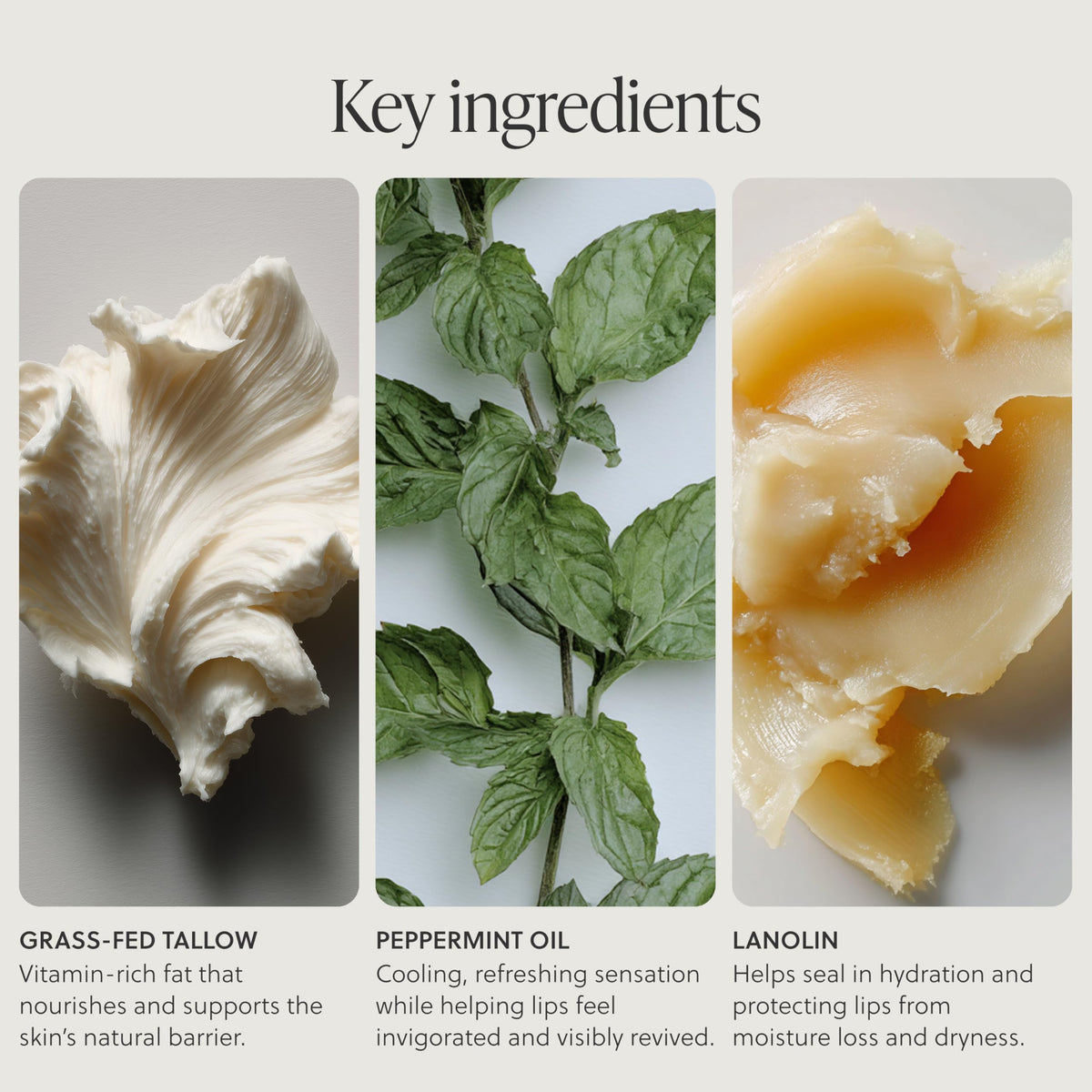 Peppermint-infused TALOVA balm delivering a refreshing, cooling sensation on lips.