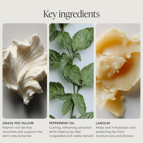 Peppermint-infused TALOVA balm delivering a refreshing, cooling sensation on lips.