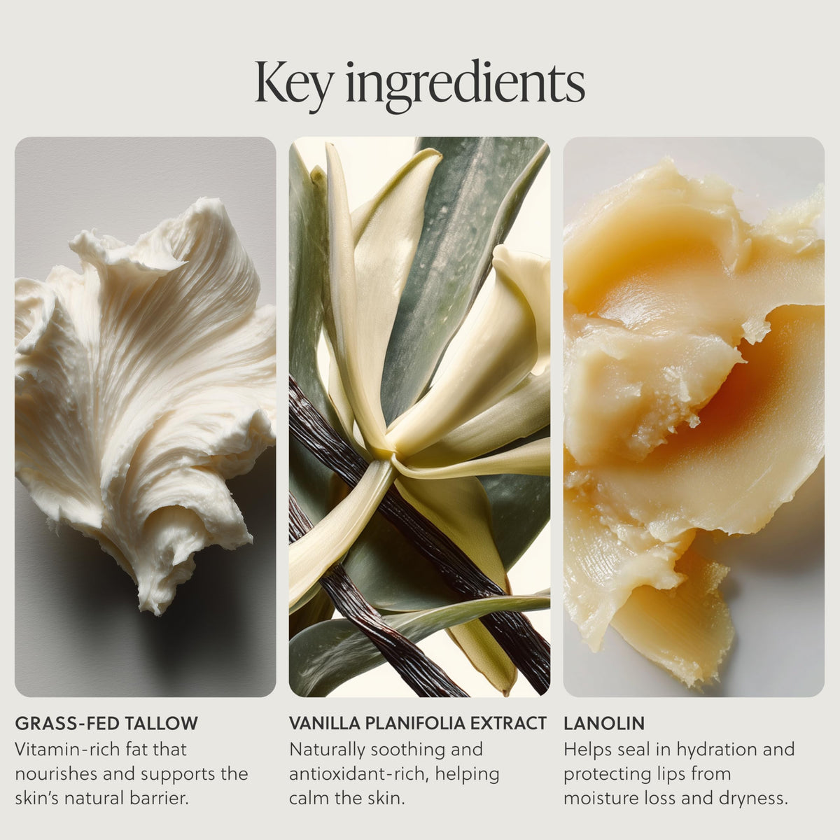 TALOVA lip balm application glides smoothly for comfortable everyday use.