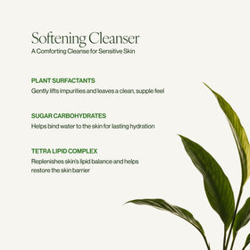 Tata Harper Superkind Softening Cleanser ingredients label with omega fatty acids.