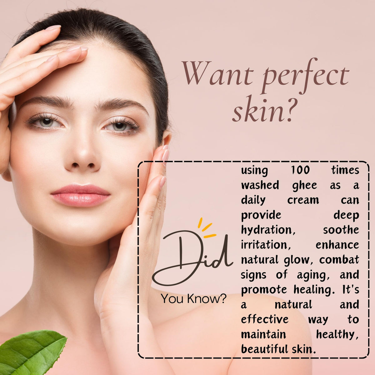 TATSAT Shata Dhauta Ghrita rose ingredients emphasize nourishing oils
