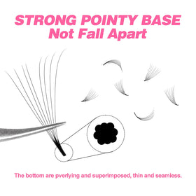TDANCE premade lash fans with stable curl for consistent volume.