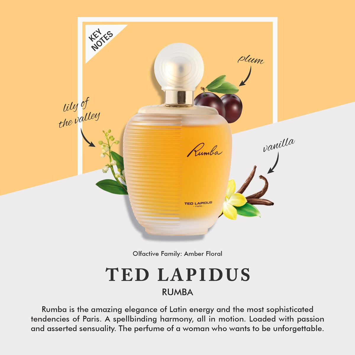 Ted Lapidus Rumba EDT box packaging for gift-ready presentation