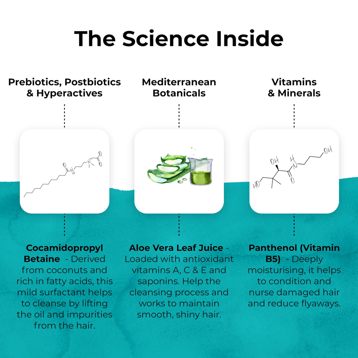 Luxurious vegan packaging of TEMPLESPA Good Hair Day shampoo