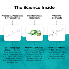Luxurious vegan packaging of TEMPLESPA Good Hair Day shampoo