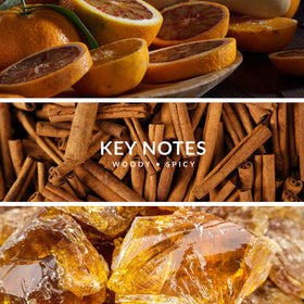 Territoire Gold 79 mid notes rose, refined warmth in everyday scent