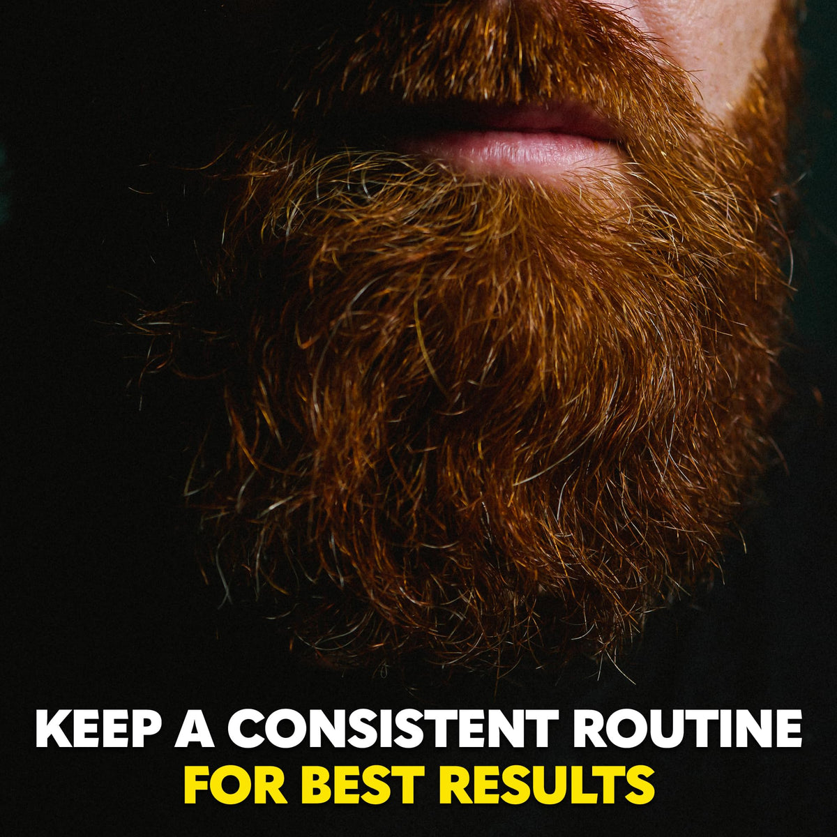 The Beard Club gift-ready box communicates a thoughtful grooming gift.
