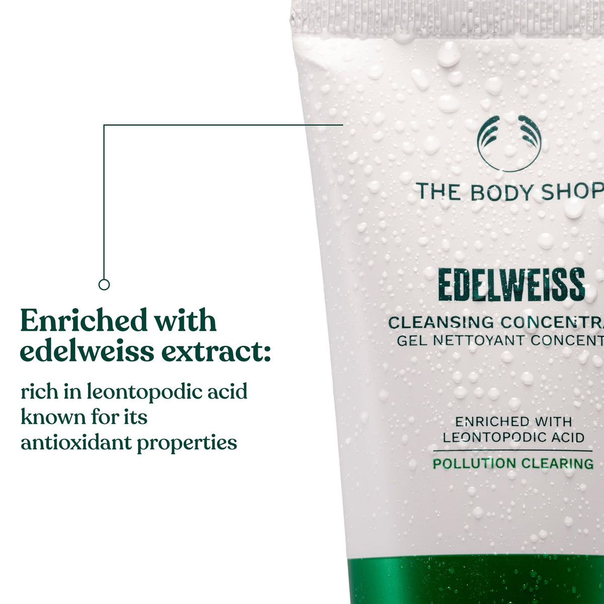 Close-up of edelweiss extract highlighting antioxidant-rich skin protection.