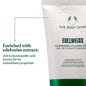 Close-up of edelweiss extract highlighting antioxidant-rich skin protection.