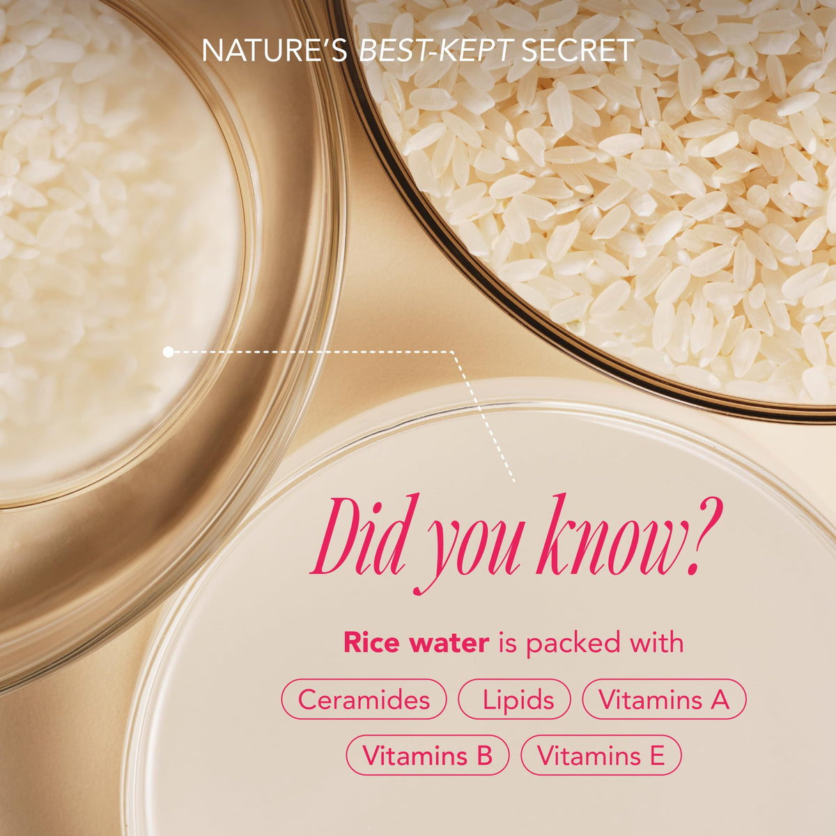 The Face Shop Rice Water Bright Conditioner application image shows detangled, smoother hair