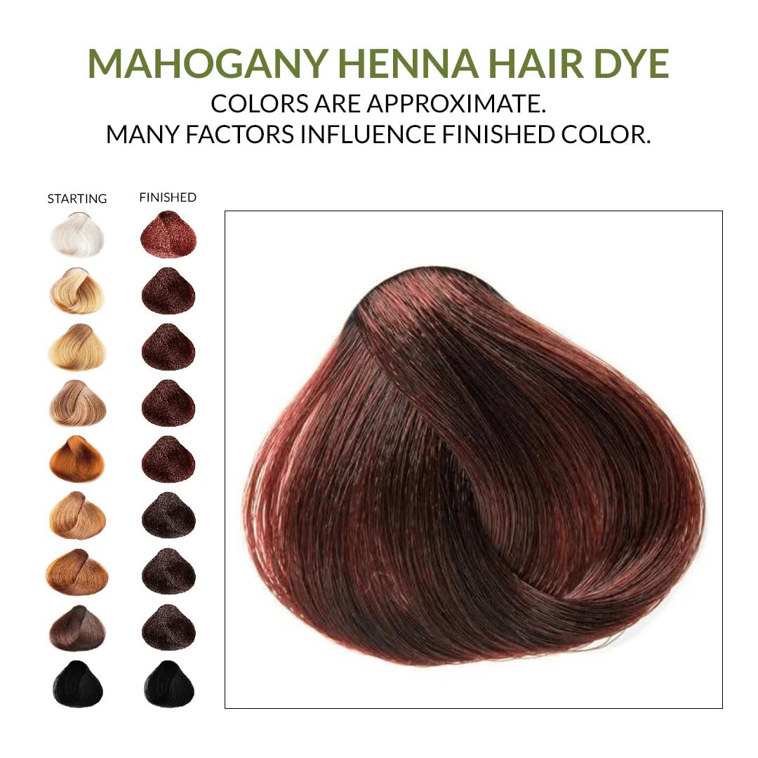 The Henna Guys mahogany hair color result on strands demonstrates rich shade