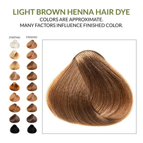 The Henna Guys light brown beard color setup with gloves and brush