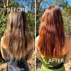 The Henna Guys raw henna powder, natural plant-based color source.