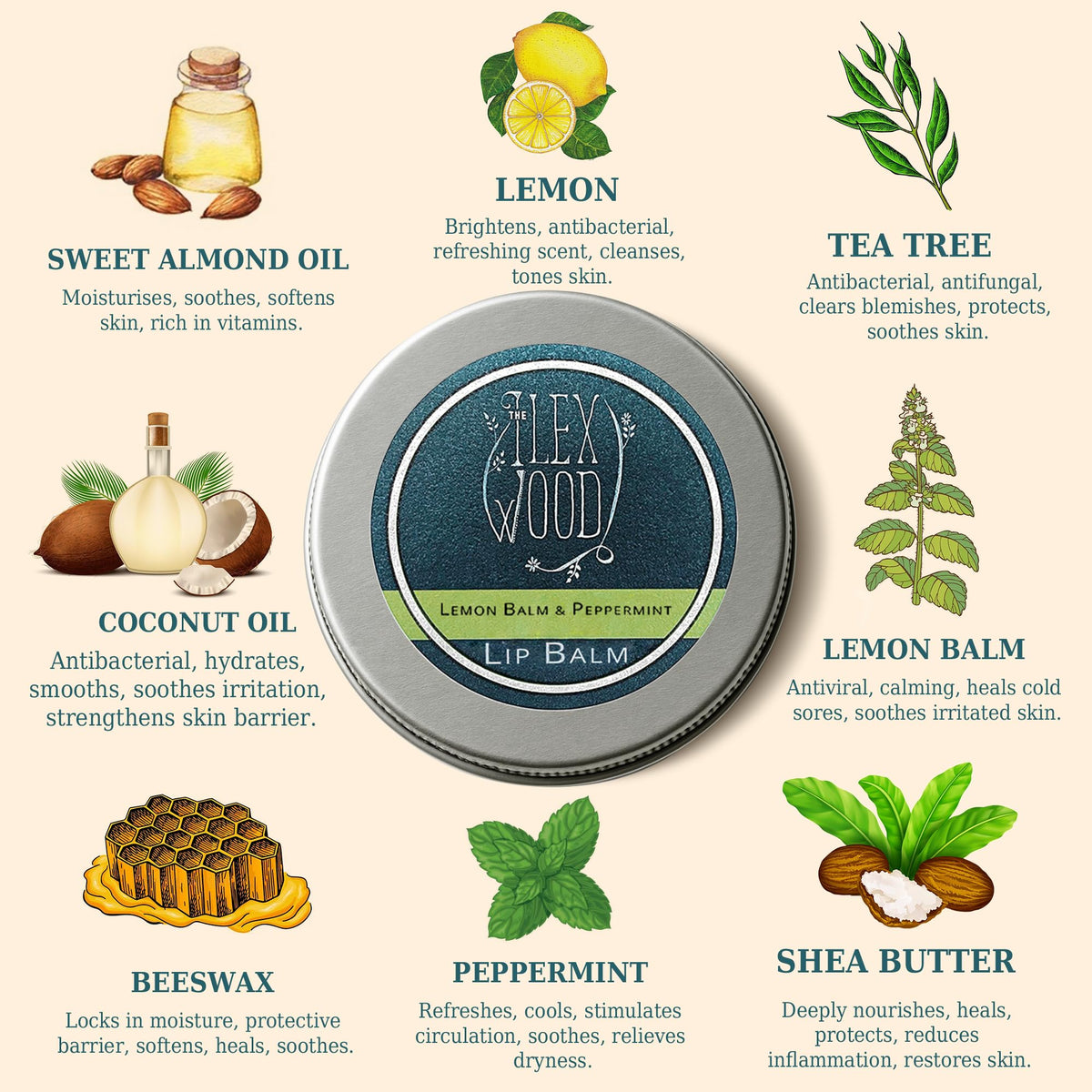 The Ilex Wood lip balm tubes showcase plastic-free packaging for eco-conscious use