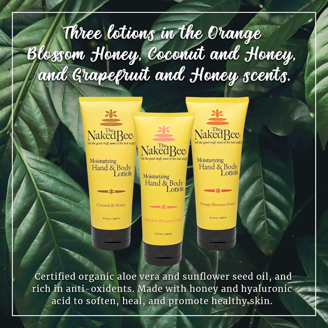 The Naked Bee Grapefruit Blossom Honey lotion tube for refreshing skin care.