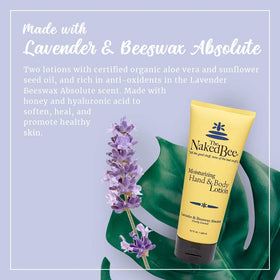 Ingredient close-up: aloe vera and sunflower oil for skin nourishment
