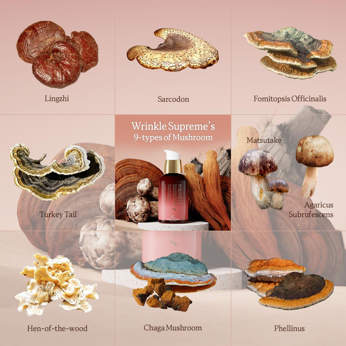 The Skin House Wrinkle Supreme Serum mushroom complex bottle highlighting Reishi, Chaga, Shiitake.