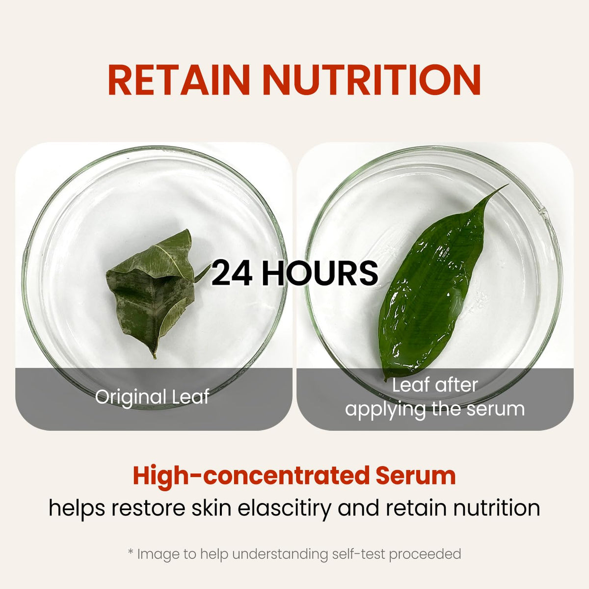 The Skin House Wrinkle Supreme Serum close-up showing dewy, refined skin texture.