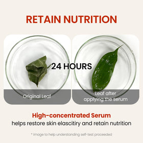 The Skin House Wrinkle Supreme Serum close-up showing dewy, refined skin texture.