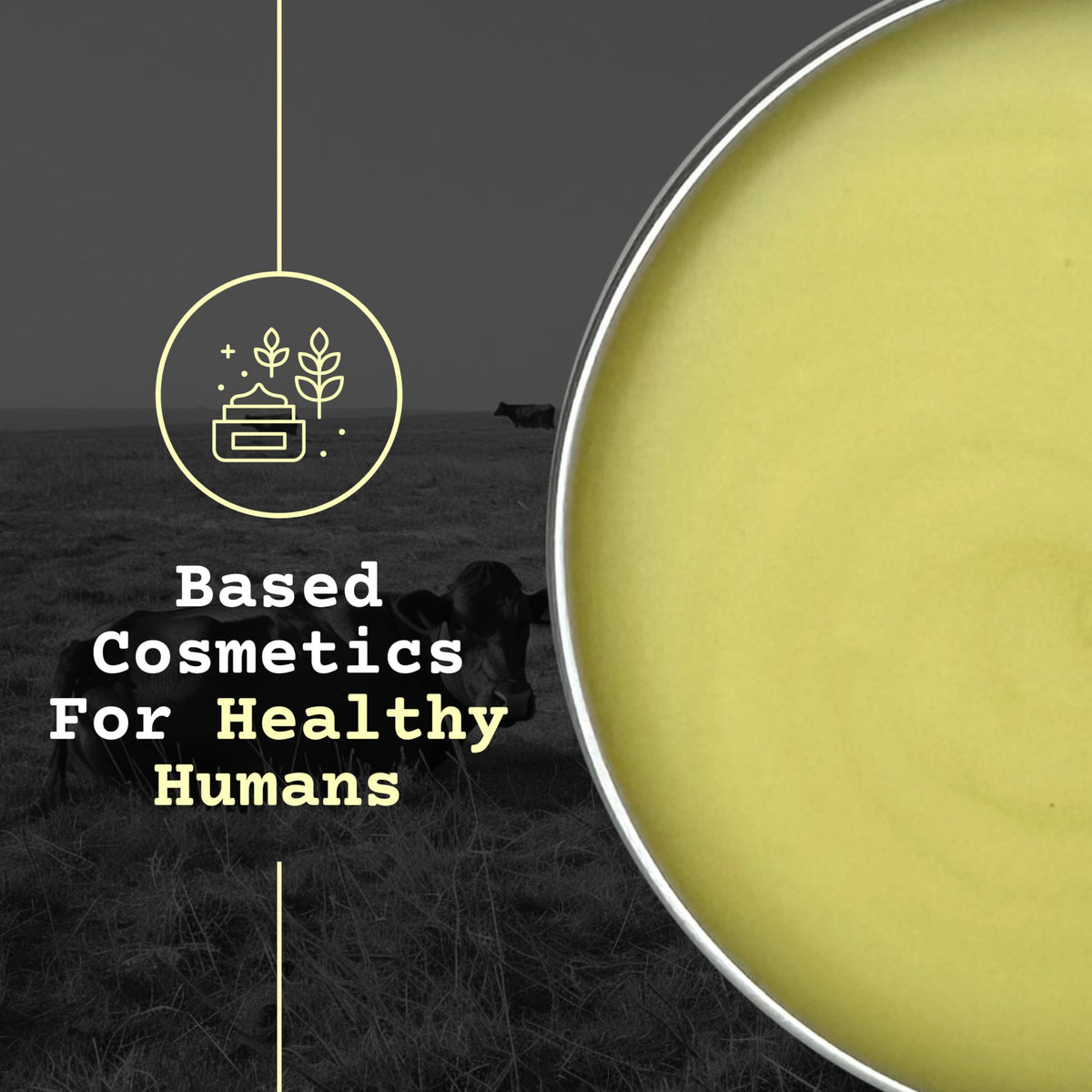 The Tallowed Truth F-Balm 2-Pack: convenient dual-pack for shared use.