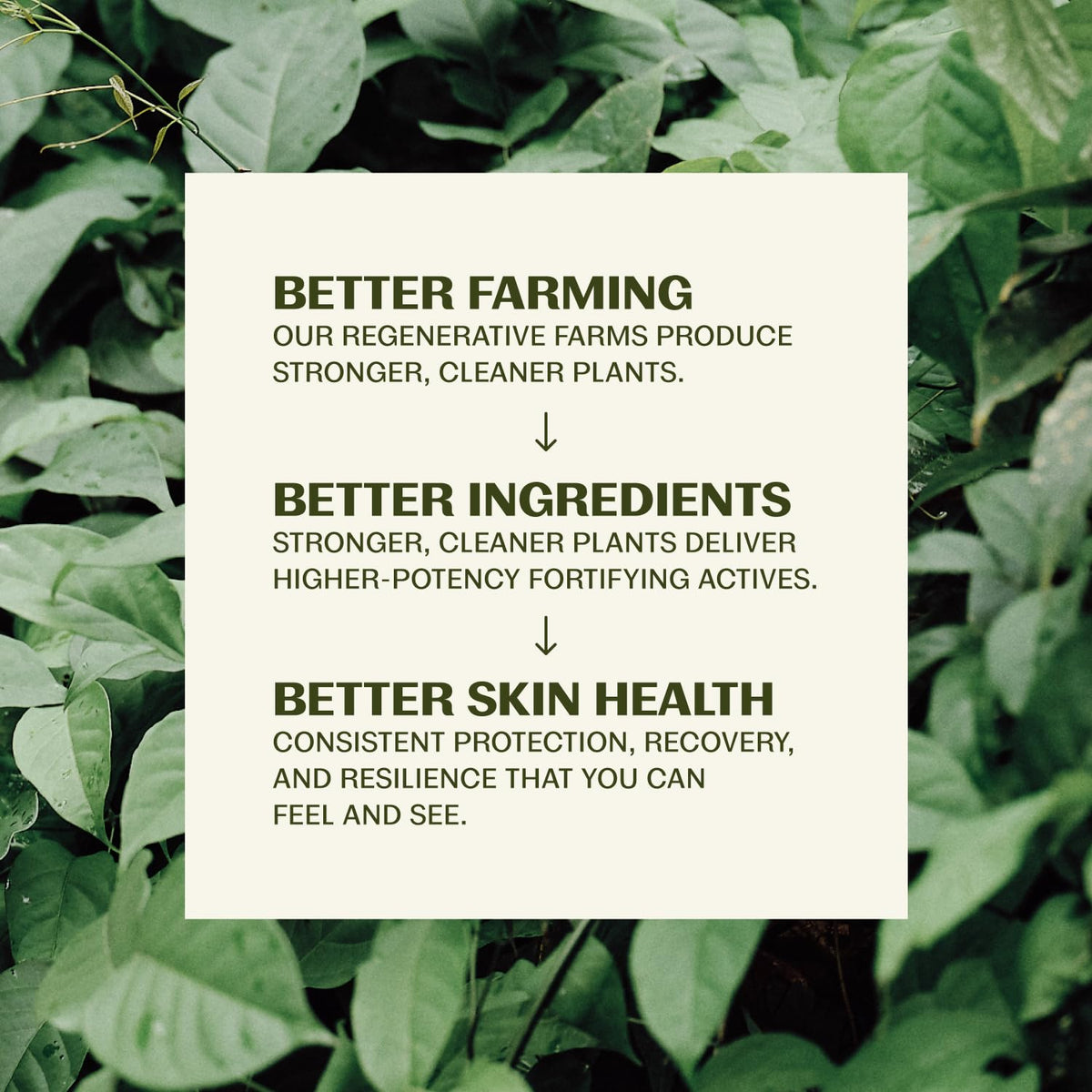 Thrive Natural Care packaging communicates vegan, USA-made ethics and clean design.