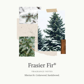 Applying Thymes Frasier Fir lotion softens skin with a subtle fir aroma.